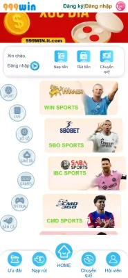 1765700761816 999win