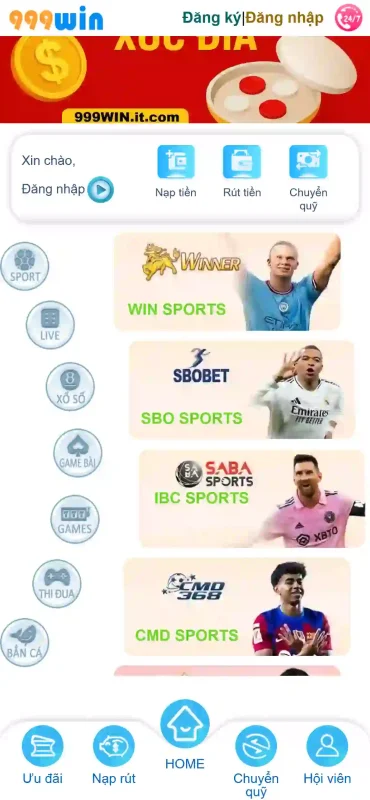 1765700761816 999win